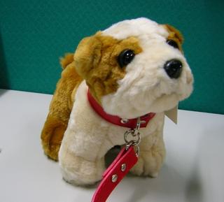our new dog