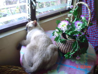 i love to sleep..