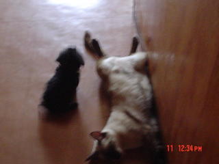 hey, wake up!