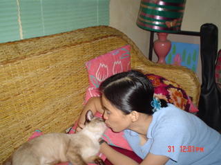 a big cat kiss