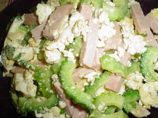 Jig's spam+Tanya's ampalaya="goyatsampuro"