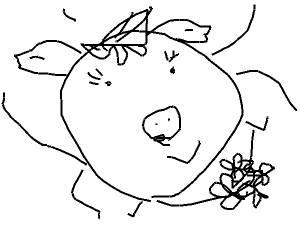 Draw a Pig