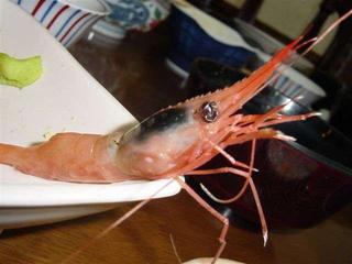 oishi!