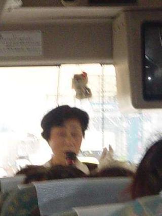 bus  lady