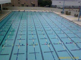 Swimming during lunch?