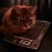 1051646_a08fc_square