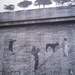 1060527_cff1a_square