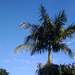 1077658_fff10_square