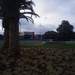 1091371_c0912_square