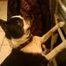 1106001_ecd12_square