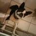 1106002_6d8e6_square