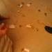 1133833_661d3_square
