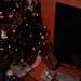 1133958_a752a_square