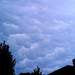 1137020_229c2_square