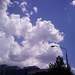 1152804_e1189_square