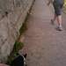 1191230_cb454_square