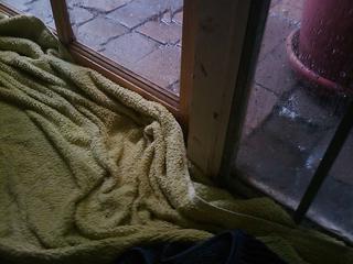 NO MOAR RAIN! (pls?)