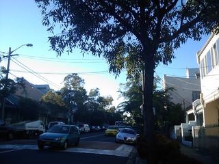 Beautiful autumn morning in Sydney.