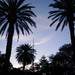 1222411_b6467_square