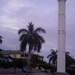 1264137_19020_square