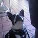 1264255_d8f5b_square