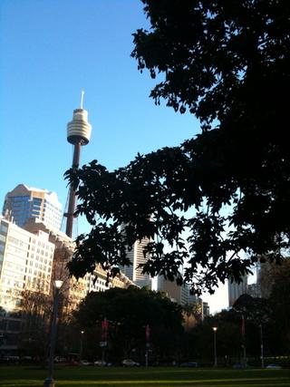 Ohai, Sydney CBD. 