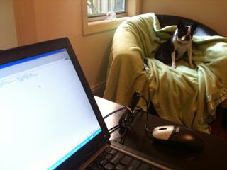 Working from home. 