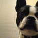 283548_7cb5d_square