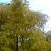 364524_ad6fe_square