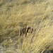 364530_23f8c_square