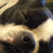 366454_99e54_square