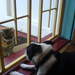 366690_41e45_square