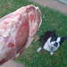 695659_c8b34_square