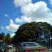 715550_a56eb_square