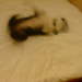 722356_6320b_square