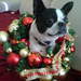 738031_9e412_square