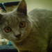 774048_bf3f1_square
