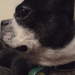 872856_187da_square