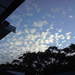 902777_6064a_square