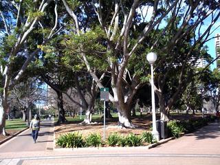 A very quiet day in the park.