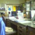 THE OFFICE