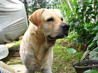 Emailing: S_20050917_678.JPG
