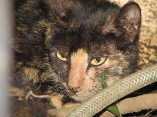 FW: Emailing: S_20050917_707.JPG