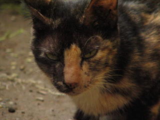 Emailing: S_20050917_674.JPG