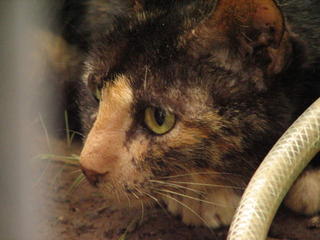 FW: Emailing: S_20050917_696.JPG