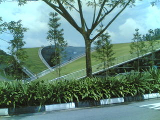 Grass Roof