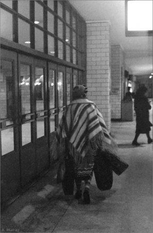 The Traveler