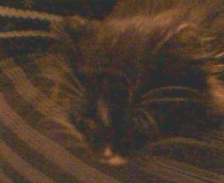 Durmiendo... 2