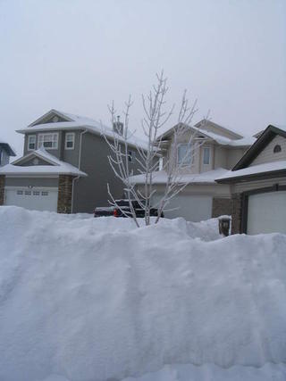 March 19 the day after the big snow dump