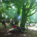 230372_c20ee_square